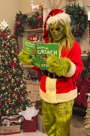 The Grinch Steals Christmas 